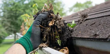Hand removing dried leaves and debris from a gutter.